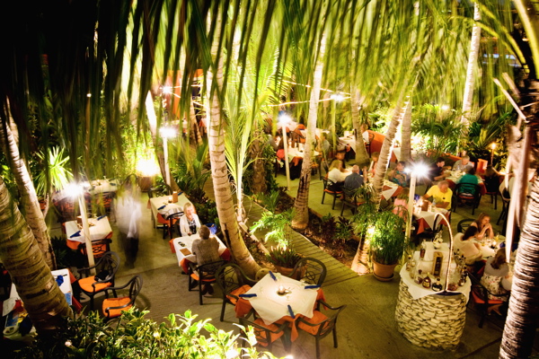 CocoBistro_horizontal palms
