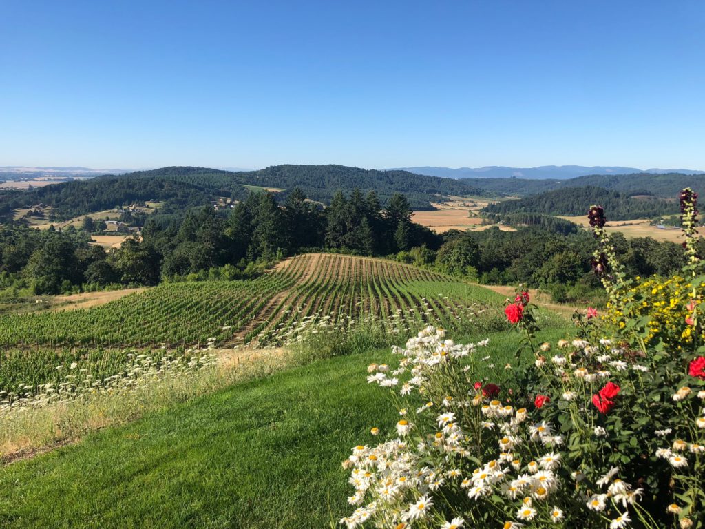 Willamette's Youngberg Hill