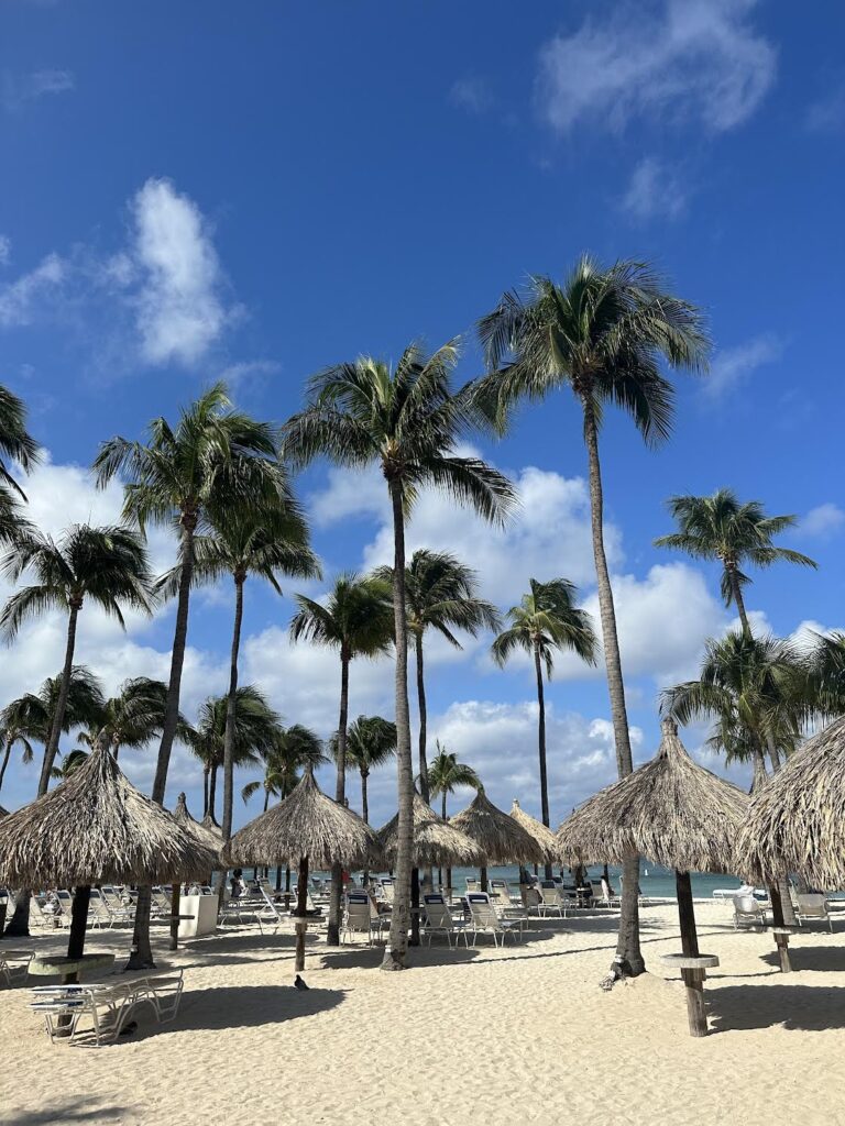 The Perfect Toddler Vacation: Hyatt Regency Aruba